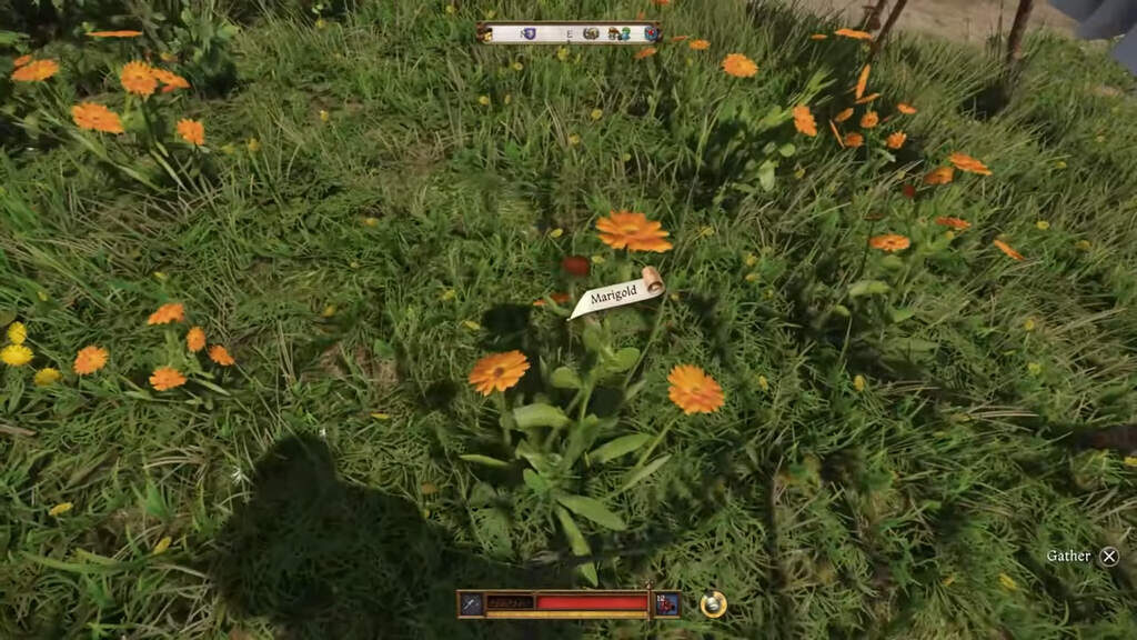 kingdom come deliverance 2 гайд квест прохождение игра